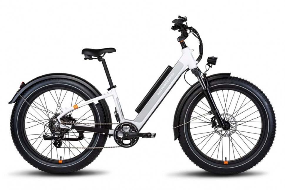 Radrhino hot sale electric bike